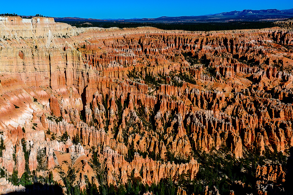 Bryce Canyon National Park - Bryce Point