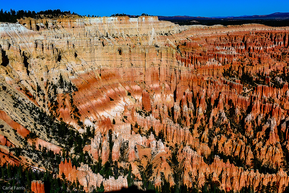 Bryce Canyon National Park - Bryce Point