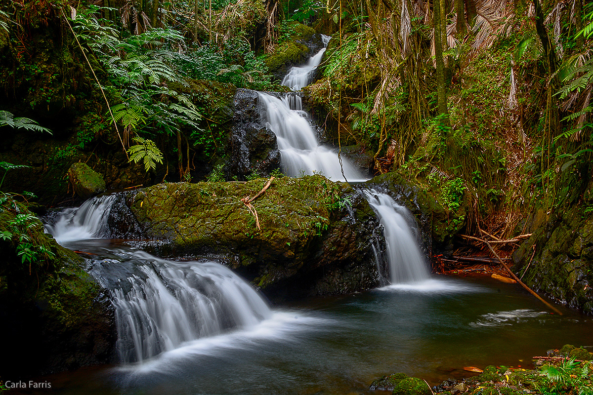 Hawaii Tropical Botanical Garden- Waterfall