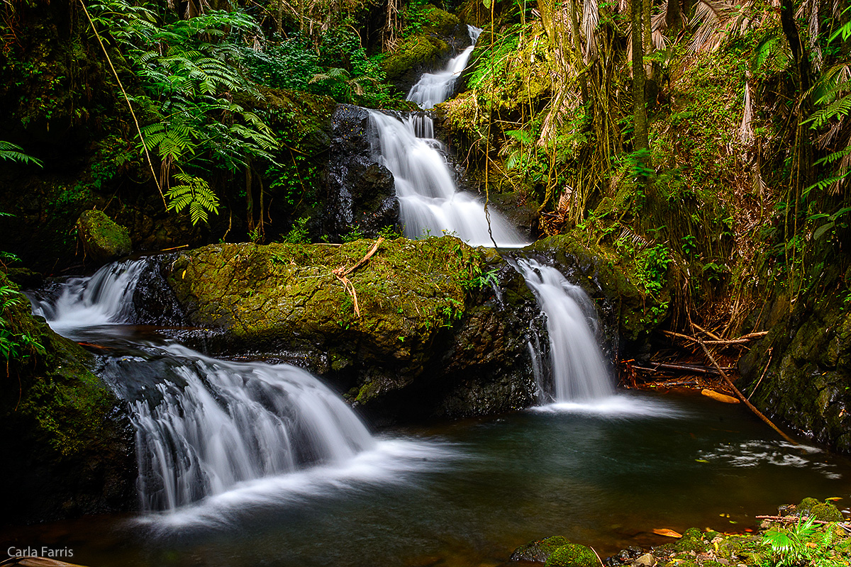 Hawaii Tropical Botanical Garden Waterfall