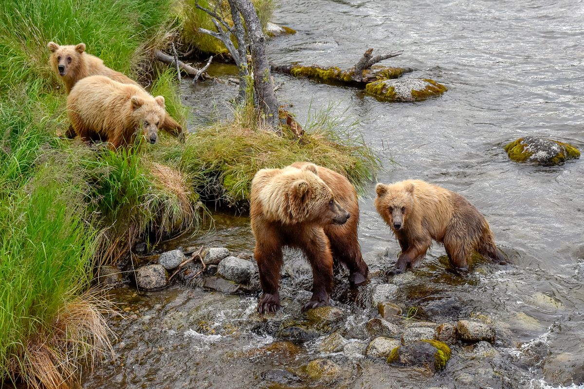 132 and cubs at the Riffles