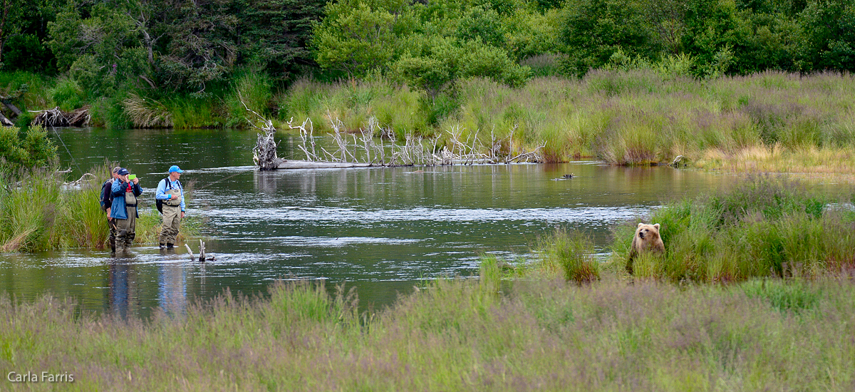 Fisherman & Bear