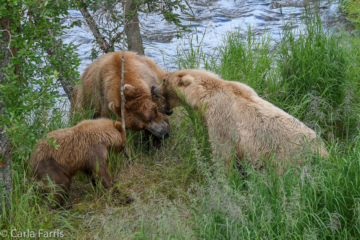 402 & Cubs Meet with Grazer (128)