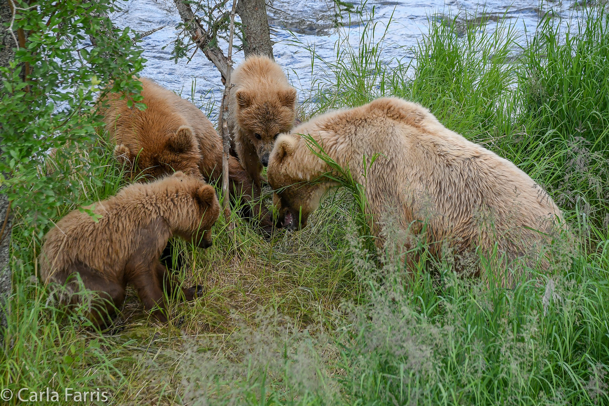 402 & Cubs Meet with Grazer (128)