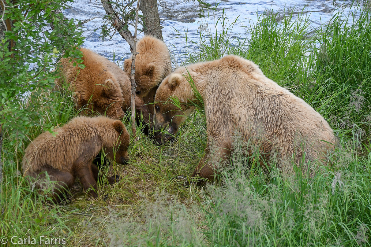 402 & Cubs Meet with Grazer (128)