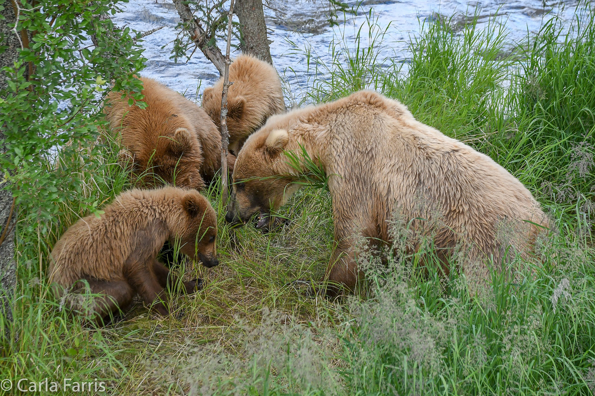 402 & Cubs Meet with Grazer (128)