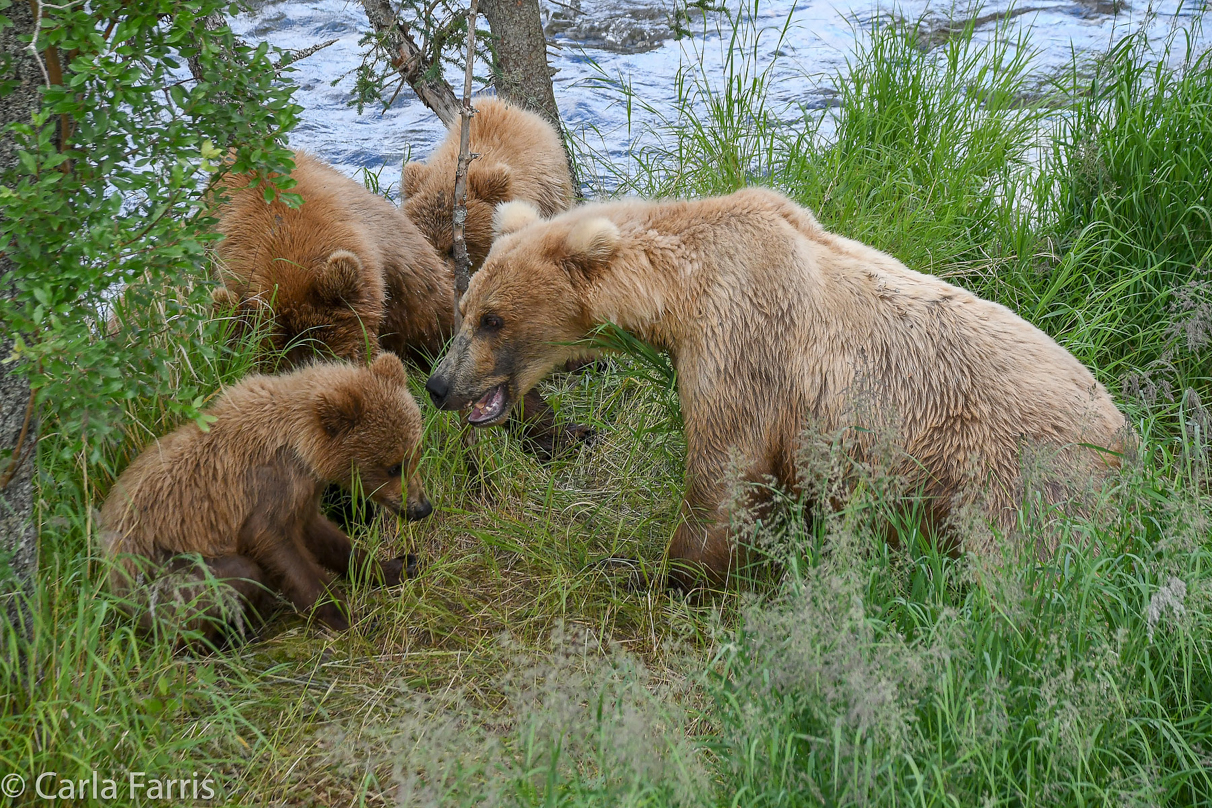 402 & Cubs Meet with Grazer (128)