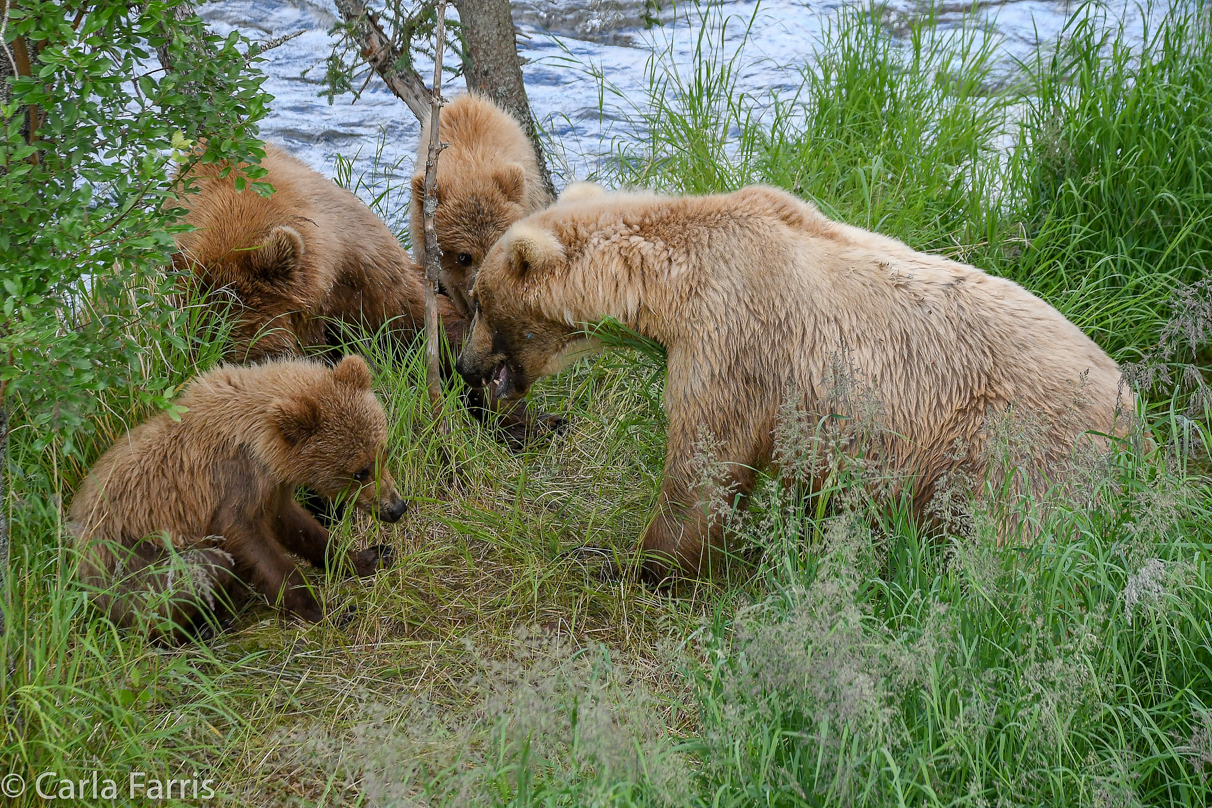 402 & Cubs Meet with Grazer (128)