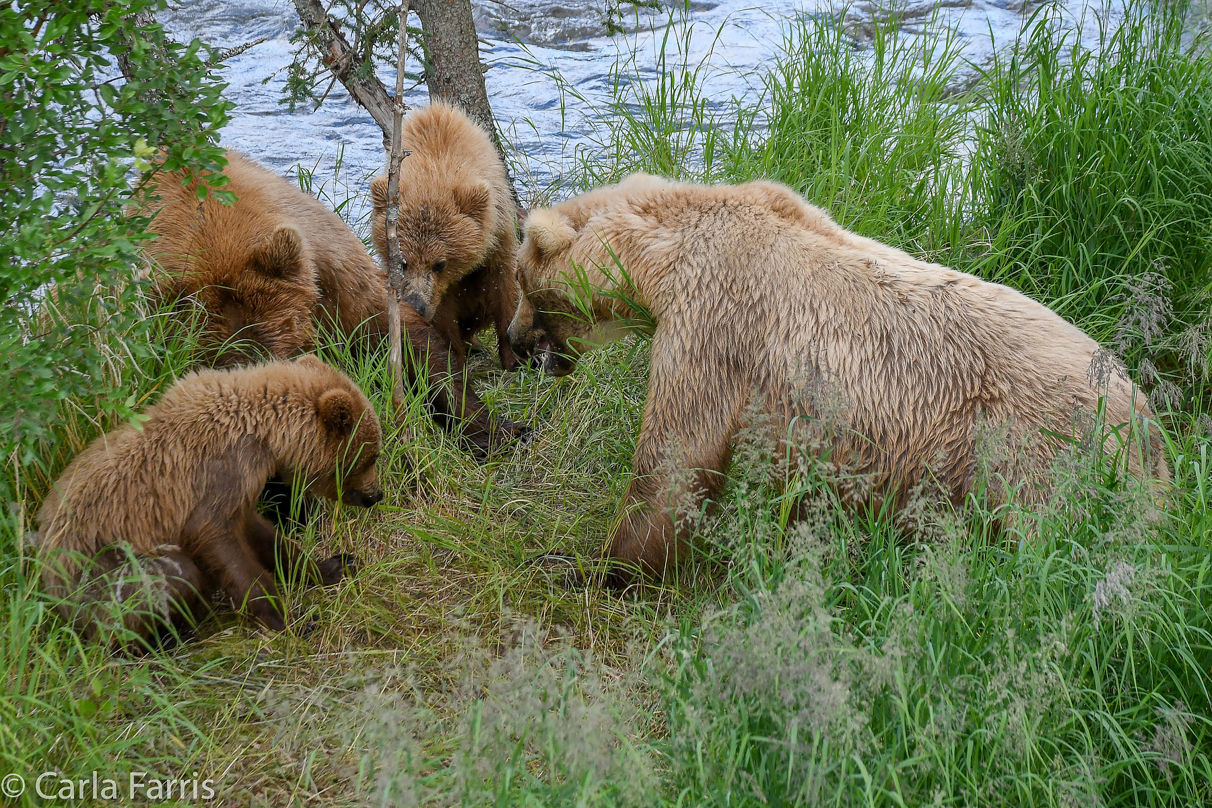 402 & Cubs Meet with Grazer (128)