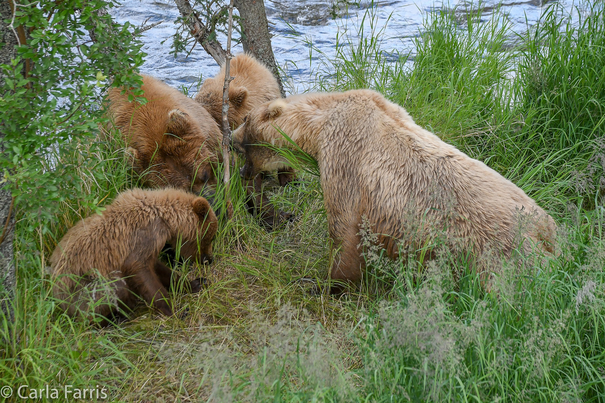 402 & Cubs Meet with Grazer (128)