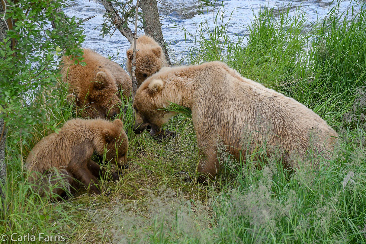 402 & Cubs Meet with Grazer (128)