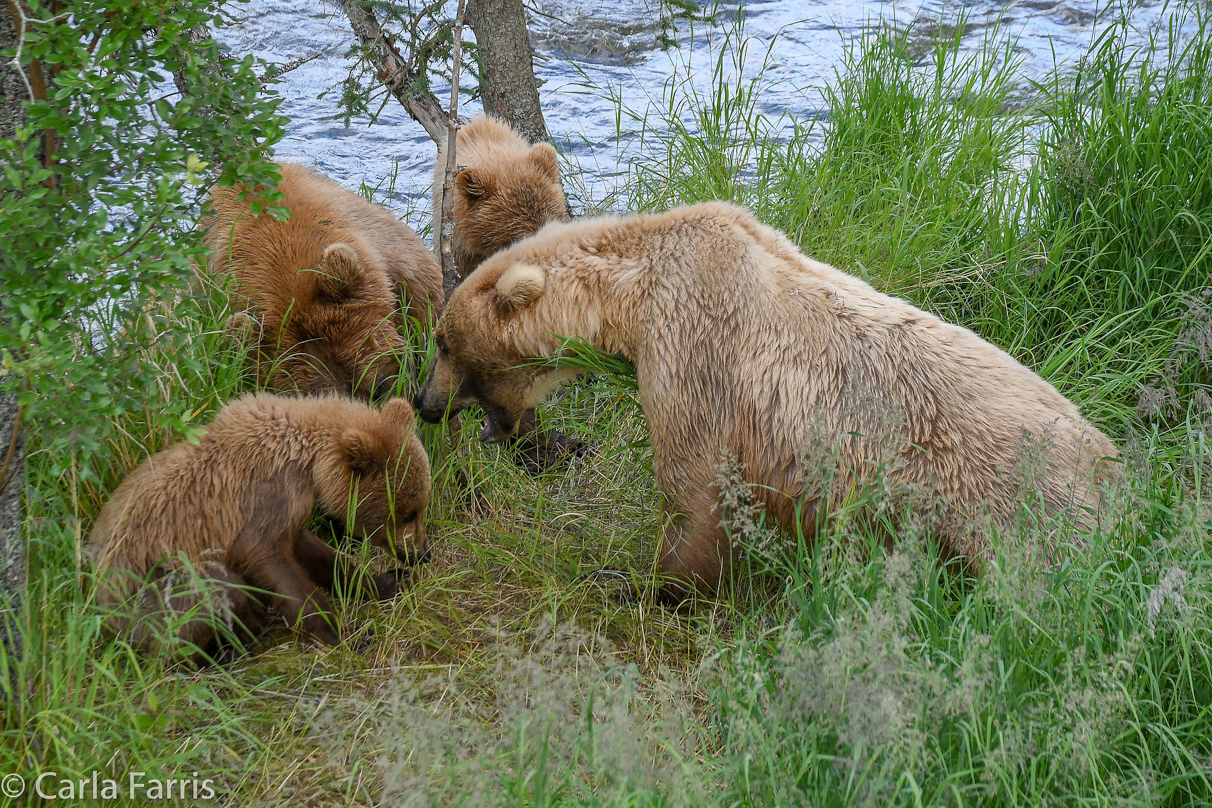 402 & Cubs Meet with Grazer (128)