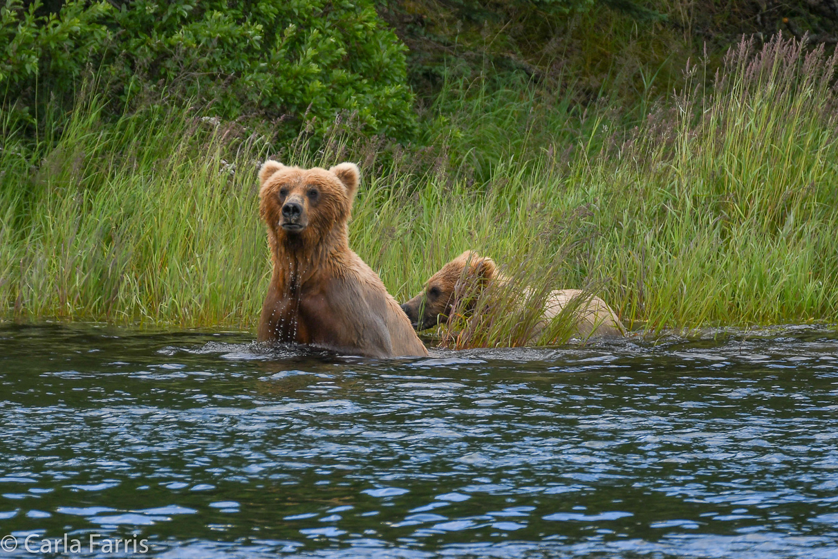 273 & cub (aka Velcro)