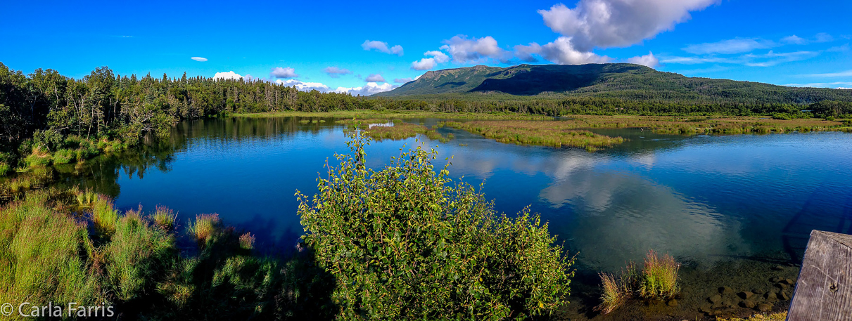 View from Lower River