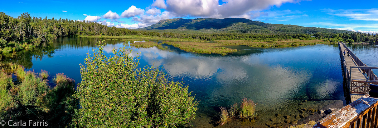 View from Lower River