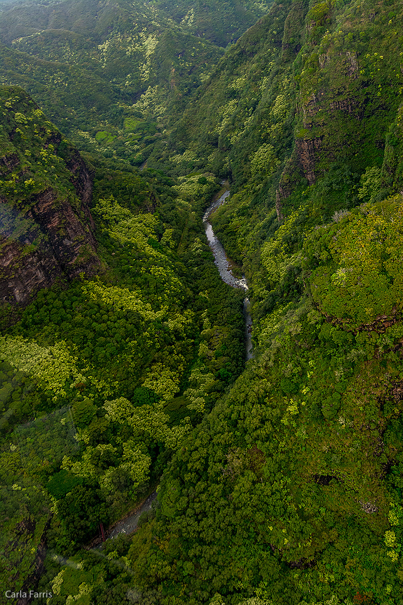 Helicopter Tour