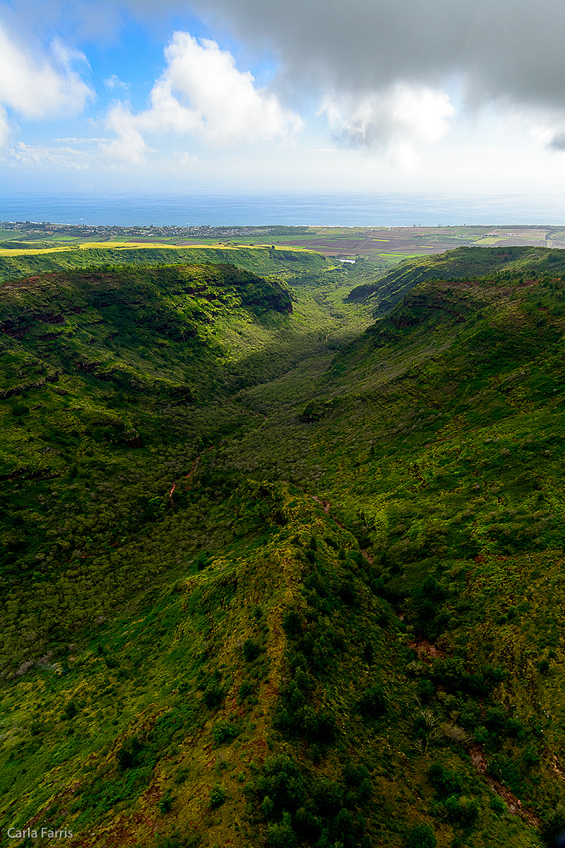 Helicopter Tour