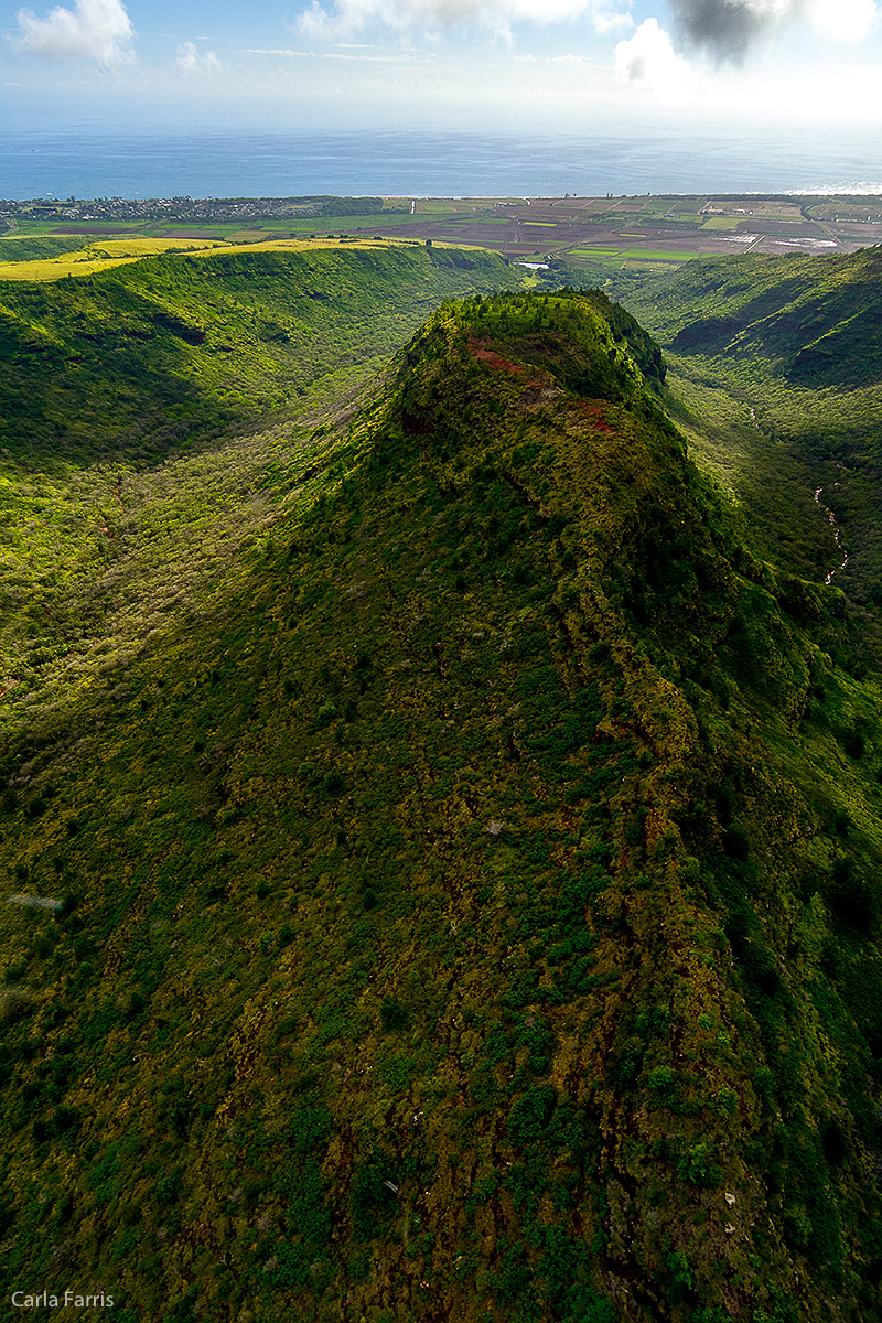 Helicopter Tour