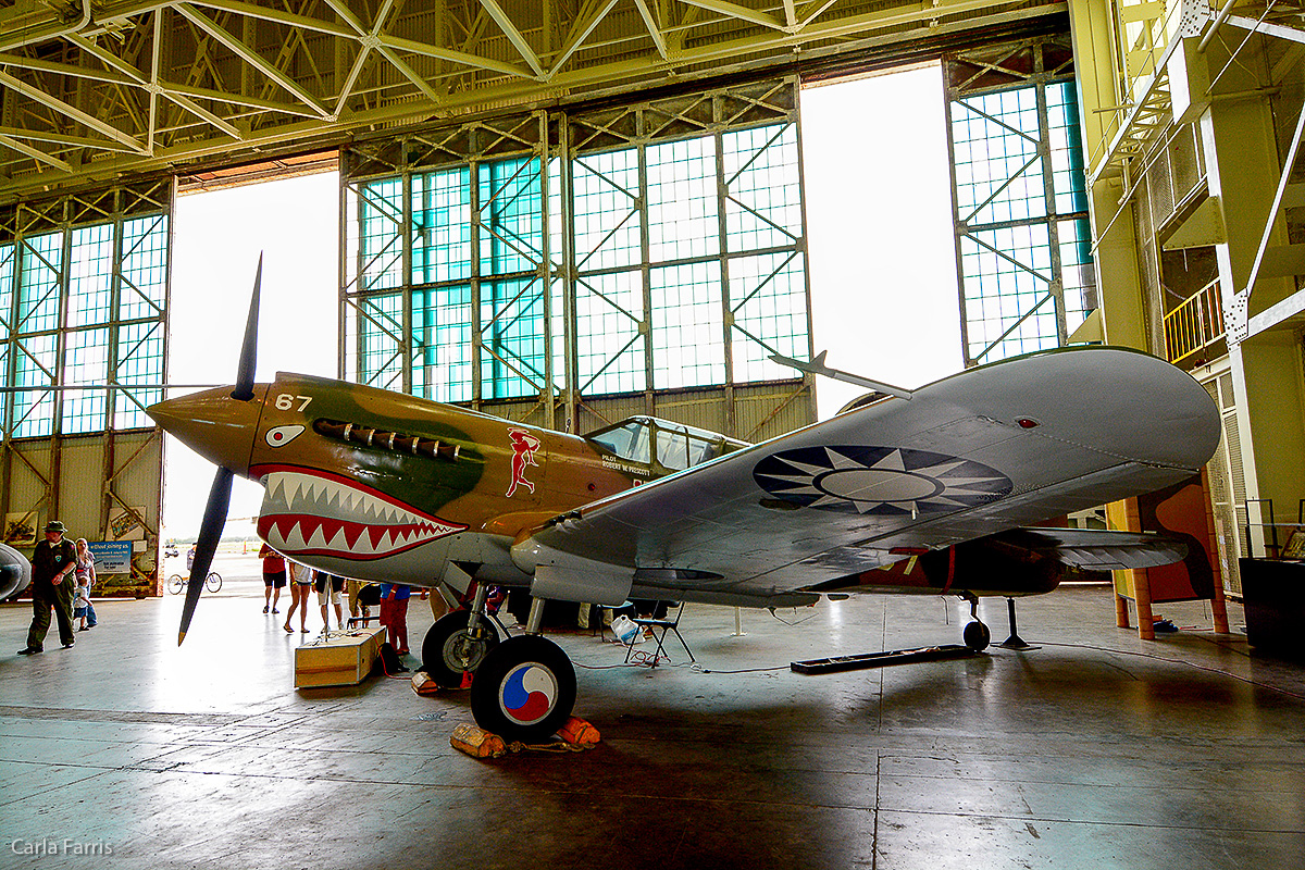 Curtiss P-40E Warhawk (Fighter)