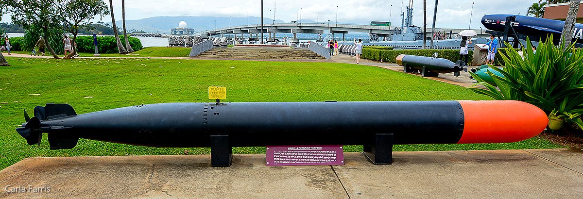 Mark 14 Exercise Torpedo