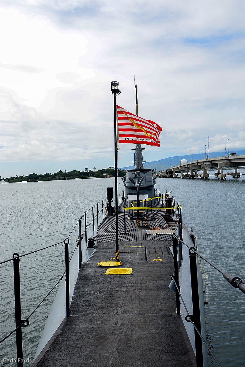 USS Bowfin