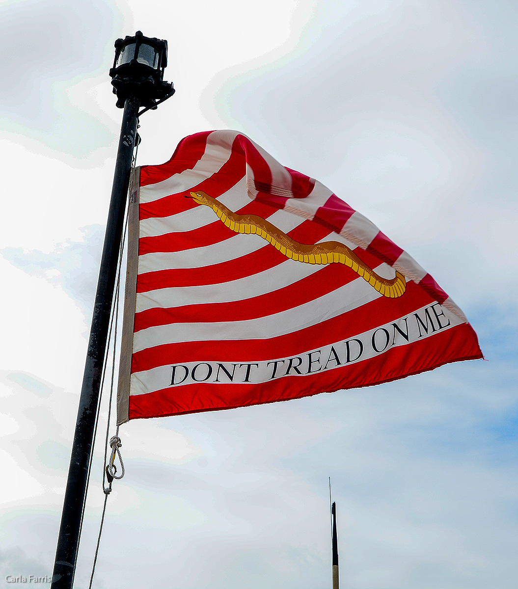 USS Bowfin