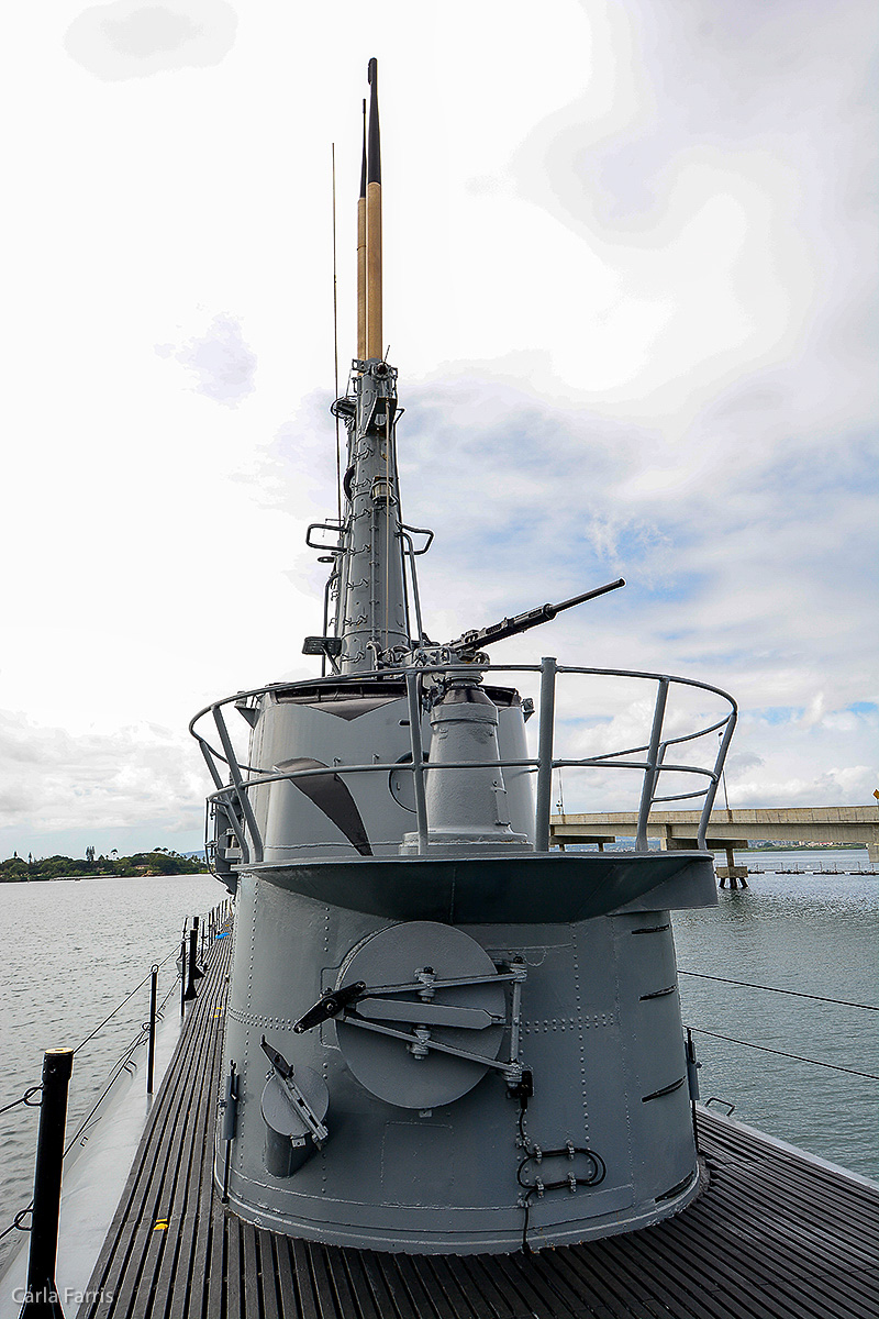 USS Bowfin