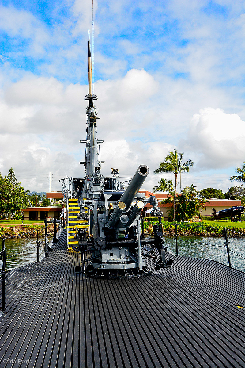 USS Bowfin