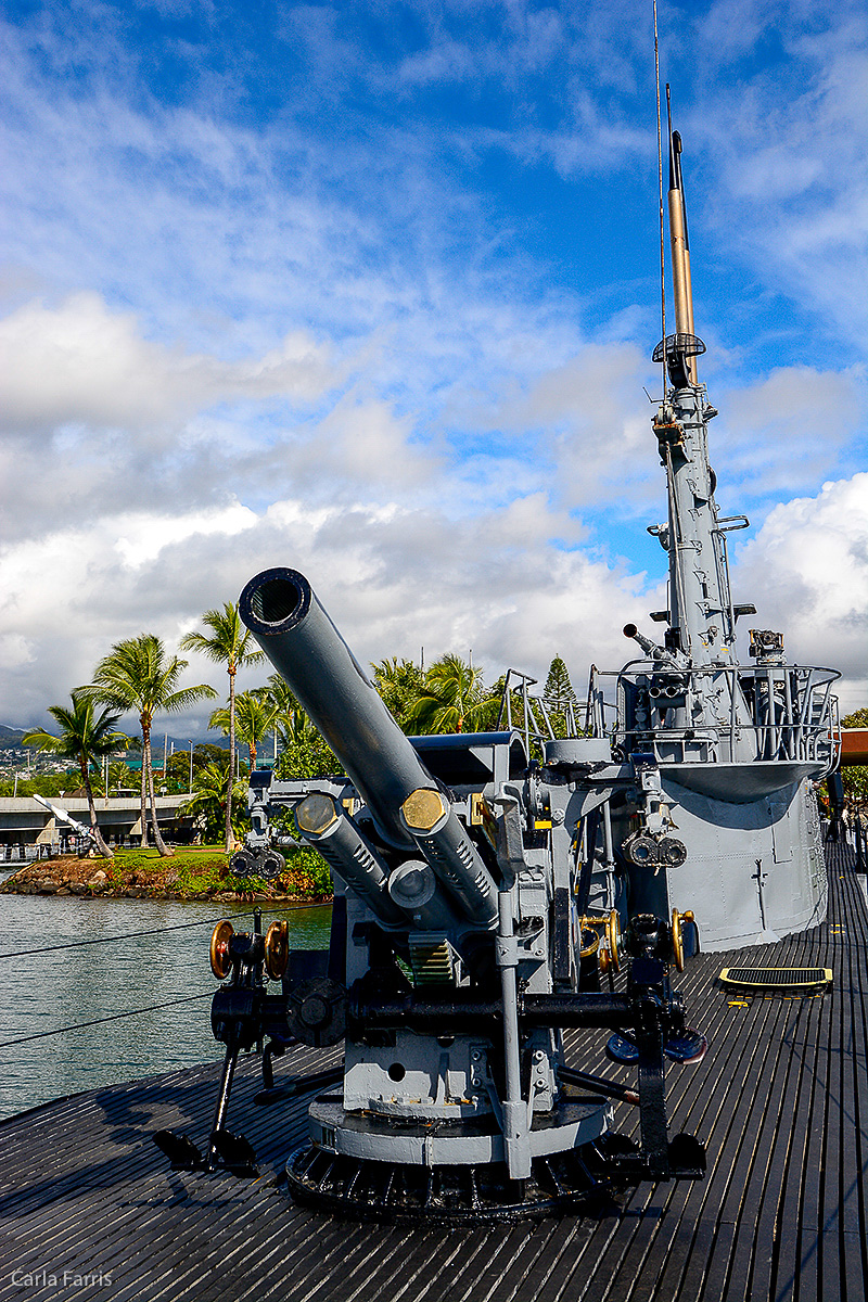 USS Bowfin