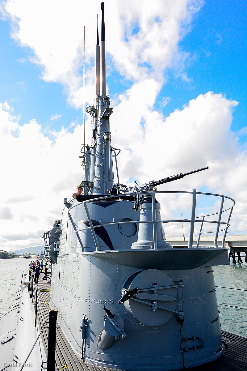 USS Bowfin