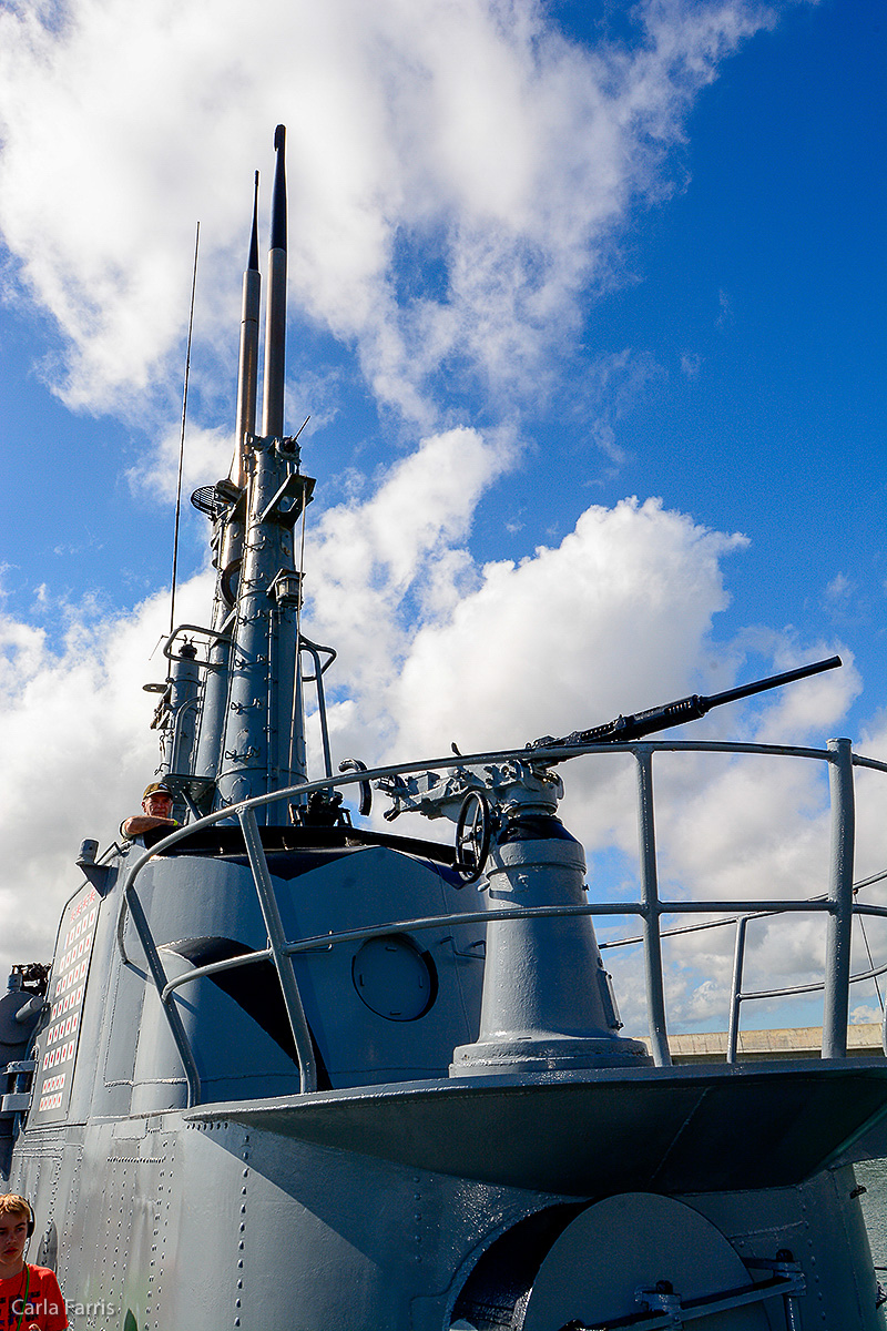 USS Bowfin