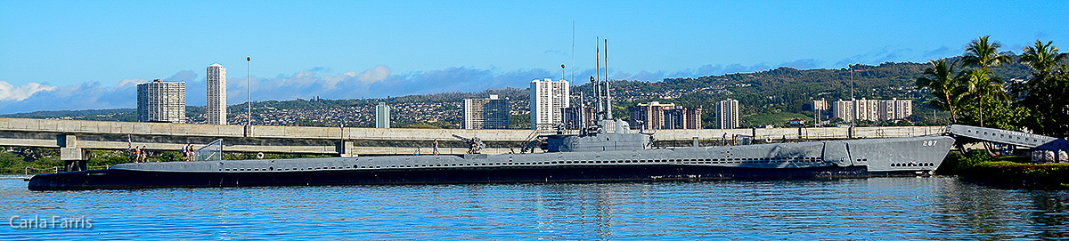 USS Bowfin