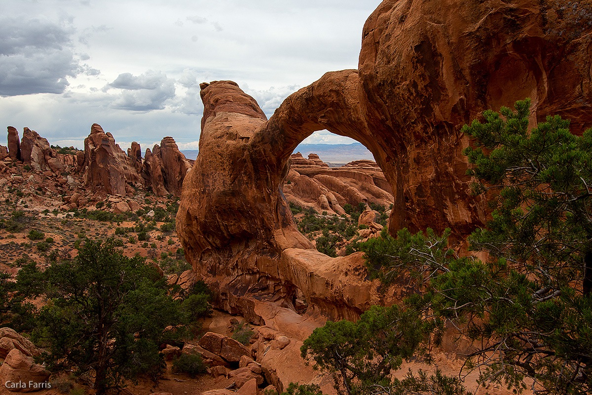 Double O Arch 