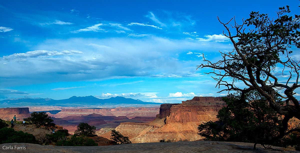 Schaffer Trail Overlook